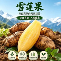 薏品甄鲜 云南特产天山雪莲果 雪莲果净重5斤中果【单果150g+】送削皮刀