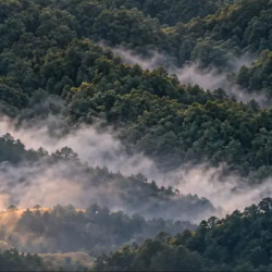 溧阳深溪界安麓酒店 观山私汤大床套房 2 晚(连住) + 早餐 2 份/天 + 欢迎水果 1 份 + 迷你吧 1 份 + 旅拍体验1次（赠送3张精选电子照） 1 份 + 悬崖咖啡券 2 份 + 店内活动体验 1 份