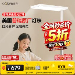 童视界 普瑞红光大路灯护眼灯 Pro版100W