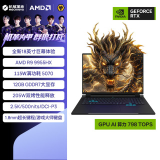 机械革命 苍龙18Pro 18英寸大屏电竞游戏本（R9-9955HX、RTX5070、2.5K 180Hz、16G、1T SSD）