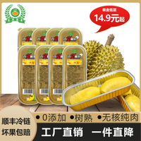 皇英嘉莱 泰国金枕烤榴莲无核榴莲果肉100g/盒树熟进口榴莲冷冻商用顺丰 10盒