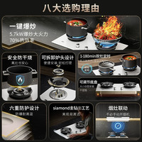 德普 凯信D5max防干烧天然气定时燃气灶可参与国补