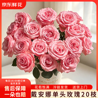 京东鲜花戴安娜单头玫瑰鲜切花20枝送礼生日鲜花送女友手捧花冷链包邮