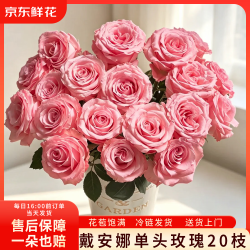 京东鲜花戴安娜单头玫瑰鲜切花20枝送礼生日鲜花送女友手捧花冷链包邮