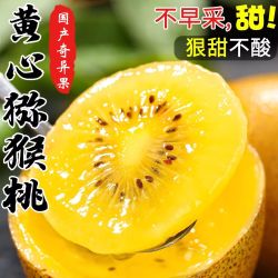 帆儿庄园 黄心猕猴桃金果金桃金艳新鲜水果奇异果孕妇水果整箱批发