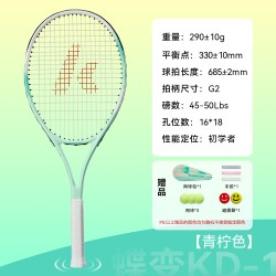 KAWASAKI 网球拍初学者单双人专业碳素拍学生训练轻盈耐打KD-1