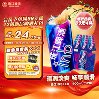 珠江啤酒 inb啤酒 500ml*12罐