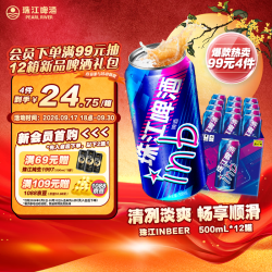 珠江啤酒 inb啤酒 500ml*12罐