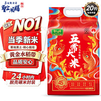 圣上用膳 五常大米 10kg 袋装