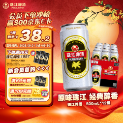 珠江啤酒 12°P原麦汁浓度 500ml*12罐 听装啤酒