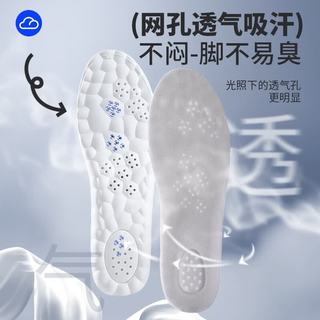 邦尼世家 减震透气加厚吸汗 35-36码 2双装 运动鞋垫
