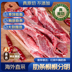 京东超市 海外直采 原切牛胸部肋条4斤(500g*4) 长肋条 烧烤炖煮牛肉
