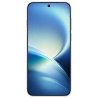vivo X500 Pro Max 蔡司2亿APO超级长焦 大地回声 16GB+512GB 手机