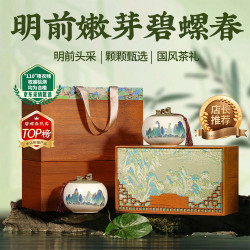 山水西湖 明前头采嫩芽 碧螺春绿茶