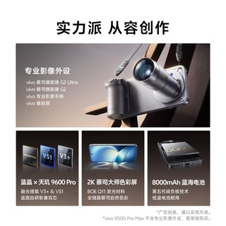 vivo X500 Pro Max 蔡司超动态主摄 晴天 16GB+512GB 手机
