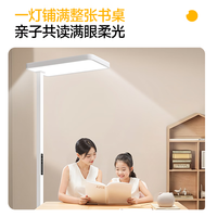 童视界 普瑞红光大路灯护眼灯学生学习专用落地台灯全光谱防蓝光客厅灯 Lite版80W