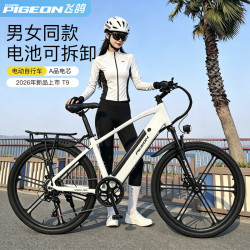 飞鸽电动助力自行车T9超长续航力矩通勤代步新国标锂电成人男女山地车 T9夜黑/26寸