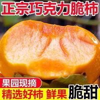 百亿补贴:鲜想美 陕西阳丰脆柿新鲜甜柿子巧克力脆柿无核硬柿4.5斤