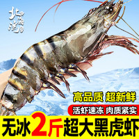 北海湾 黑虎虾 特大新鲜基围虾虎虾老虎虾大虾超大海虾生鲜虾类400g