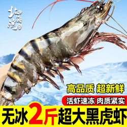 北海湾 黑虎虾 特大新鲜基围虾虎虾老虎虾大虾超大海虾生鲜虾类400g