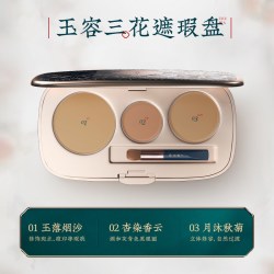 花西子 遮盖黑眼圈斑点痘印痘痘雀斑 遮瑕盘  玉隐瑕 4.3g