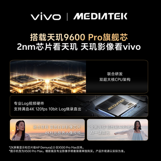 vivo 5G手机 12GB+256GB 大地回声