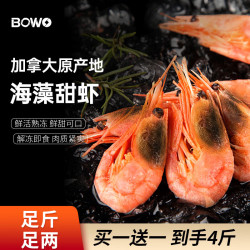 BOWO 北极甜虾 120-170规格 4斤 买1赠1套装