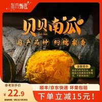 东方甄选 贝贝南瓜 4.8斤 新鲜蔬菜
