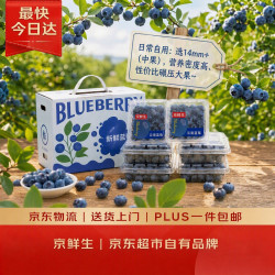 京鲜生 云南蓝莓 巨无霸22mm+ 12盒礼盒装 约125g/盒 新鲜水果礼