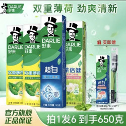 好来 超白双重薄荷牙膏 620g （双重薄荷120g*2+超白190g+茉莉白茶140g+赠牙膏40g*1+牙刷*1）