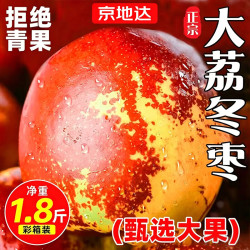 京地达 陕西大荔冬枣礼盒净重4.5斤大果15g+新鲜水果冰糖枣源头直发 4.5斤礼盒装|单果15-20g