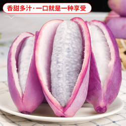 舌尖乡甜 贵州八月瓜稀有野香蕉八月炸当季应季新鲜时令水果整箱现摘现发 精选2斤大果单果150-200g净重1斤