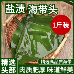 金葵 盐渍海带头煲汤凉拌火锅炒菜大连旅顺厚实无泥海带头