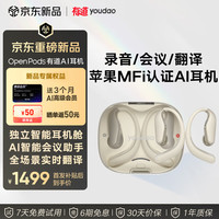 网易有道 有道AI耳机OpenPods 录音会议翻译蓝牙耳机网易耳机 同声传译翻译机 挂耳式运动降噪耳机白色适配苹果
