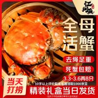 江问鱼 全母3.3-3.6两/只 现货大闸蟹8只礼盒装(去绳足重、死蟹包赔)