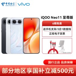vivo iQOO Neo11至尊版 手机 12GB+256GB 驰光白