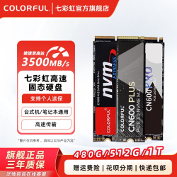 七彩虹 CN600 电竞款NVMe M.2 固态硬盘（PCI-E3.0）