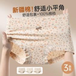 芬腾可安 3条内裤女100%纯棉防走光小平角裤内裤女士内裤