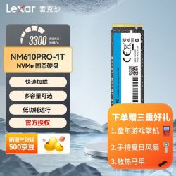 雷克沙 1TB SSD固态硬盘 M.2接口 NVMe协议（PCIe 3.0x4
