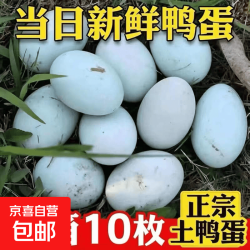 京喜加 正宗农家散养土鸭蛋批发生鸭蛋新鲜鸭蛋现捡现发带泥特价40g/50g 30枚40-50g