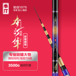 本汀 隼巨物超轻版鲢鳙竿专属大物竿碳素台钓鱼竿休闲湖库钓鱼用具
