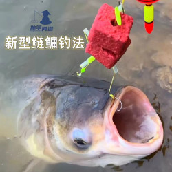 持竿问道新型鲢鳙钓法酸臭榴莲味方块饼湖库江河海竿抛竿钓花白鲢