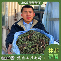东北特产婆婆丁干菜食用山野菜农产品苦菜干蒲公英