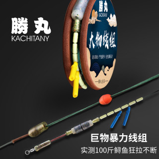 胜丸绑好大物线组套装全套主线组成品强拉力巨物鱼线正品青鱼鲢鳙
