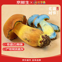 京鲜生 云南特产鲜菌菇净重2斤牛肝菌火锅食材源头直发