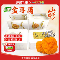京鲜生 云南特产鲜菌菇净重2斤刺身煲汤火锅食材源头直发