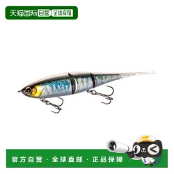 禧玛诺 日本直邮Shimano Bantam Bt 鱼饵 99SS ZR-599T 018 S Onyamabe