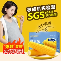 东北农嫂 黄糯玉米 2kg约8穗 礼盒装