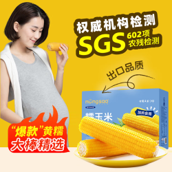 东北农嫂 黄糯玉米 2kg约8穗 礼盒装