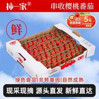京鲜生 &柿一家 散串樱桃番茄中秋礼盒1.5kg（3斤）新鲜采摘 源头直发